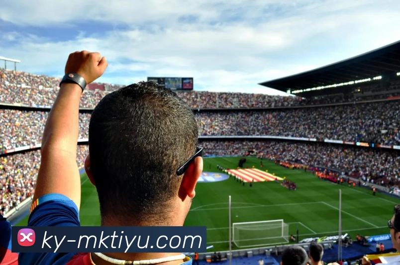 MK体育平台生态图