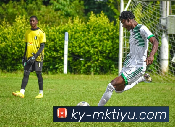 MK体育APP 封面图