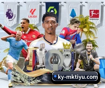 MK体育 APP | mksports